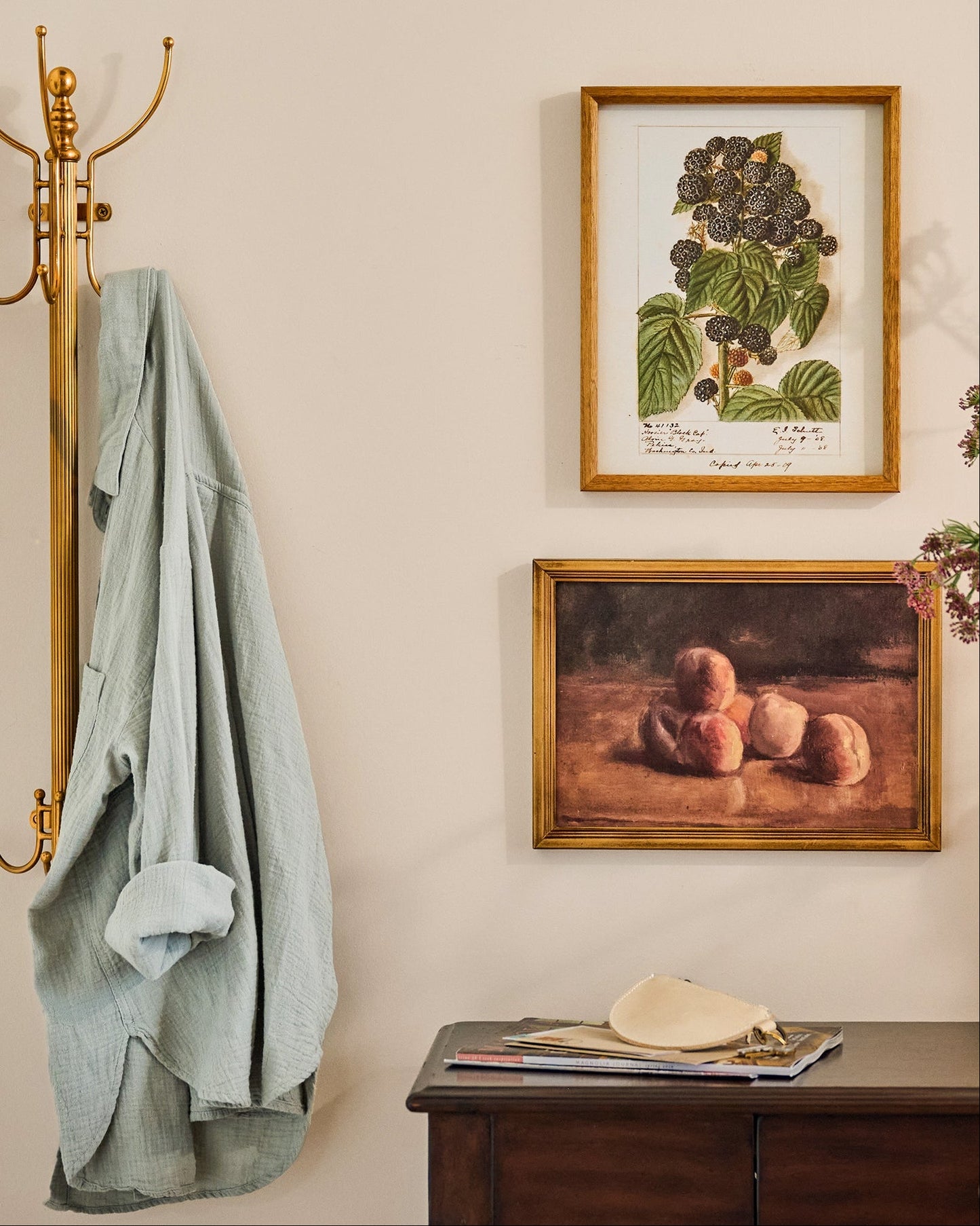 Fresh Blackberry Botanical Framed Print
